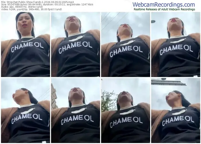 stripchat-andii-1-06-06-2024-01-19-05