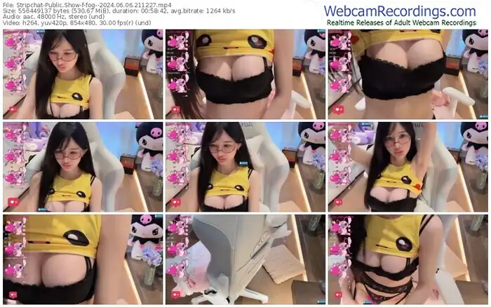 stripchat-fog--06-06-2024-21-12-27