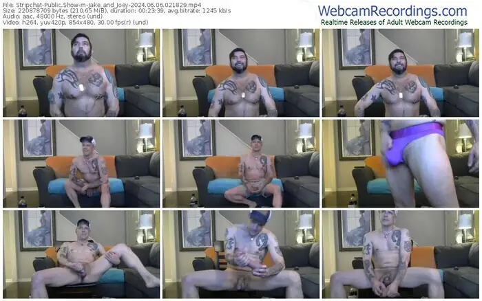 stripchat-jake_and_joey-06-06-2024-02-18-29