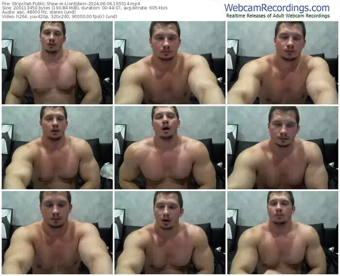 stripchat-lionedwin-06-06-2024-19-55-14