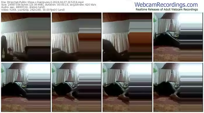stripchat-hairipussy2-06-07-2024-01-52-18