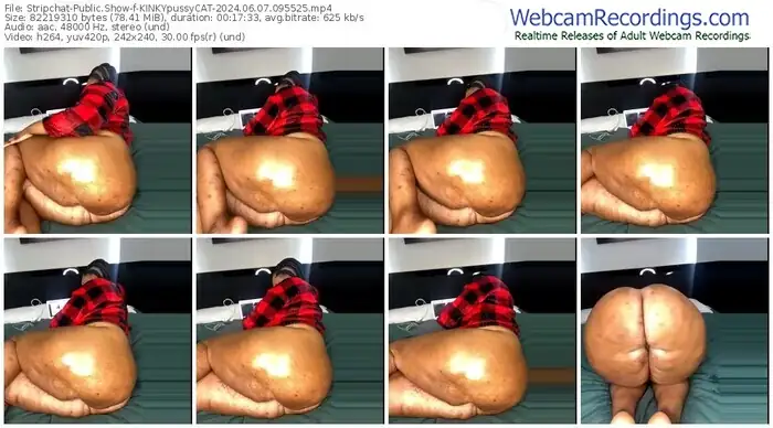 stripchat-kinkypussycat-06-07-2024-09-55-25