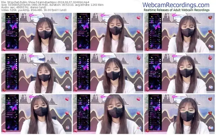 stripchat-karin-baongoc-06-07-2024-02-49-34