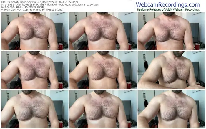 stripchat-mr_beef-06-07-2024-09-25-59