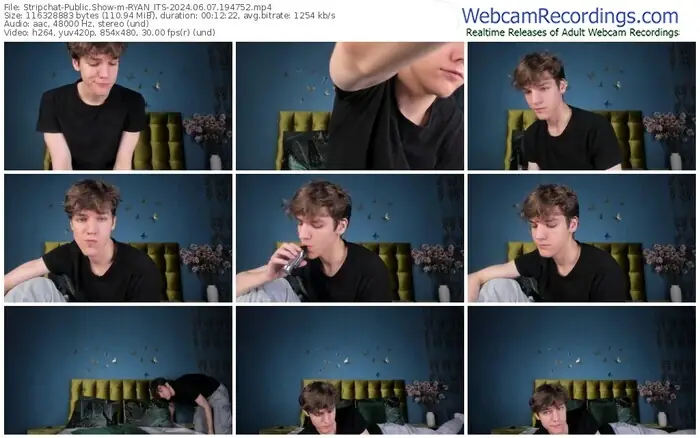 stripchat-ryan_its-06-07-2024-19-47-52