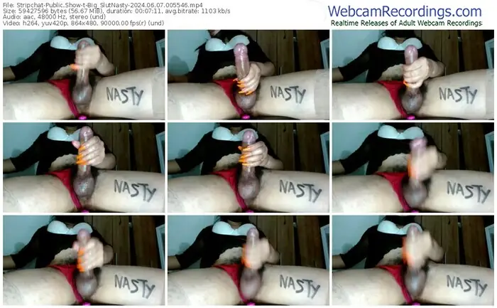 stripchat-big_slutnasty-06-07-2024-00-55-46