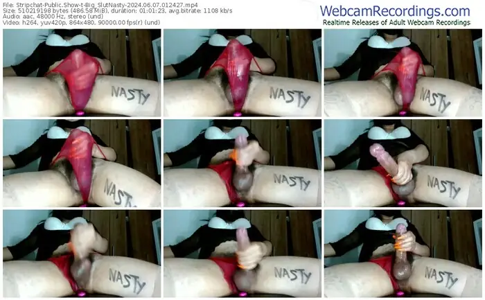 stripchat-big_slutnasty-06-07-2024-01-24-27