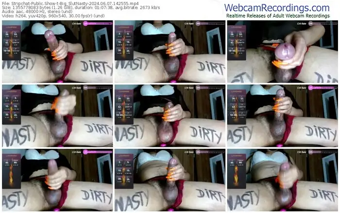 stripchat-big_slutnasty-06-07-2024-14-25-55