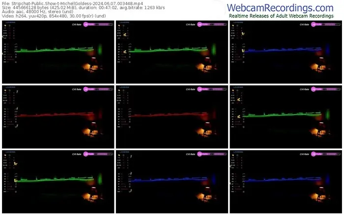 stripchat-michellgoldess-06-07-2024-00-34-48