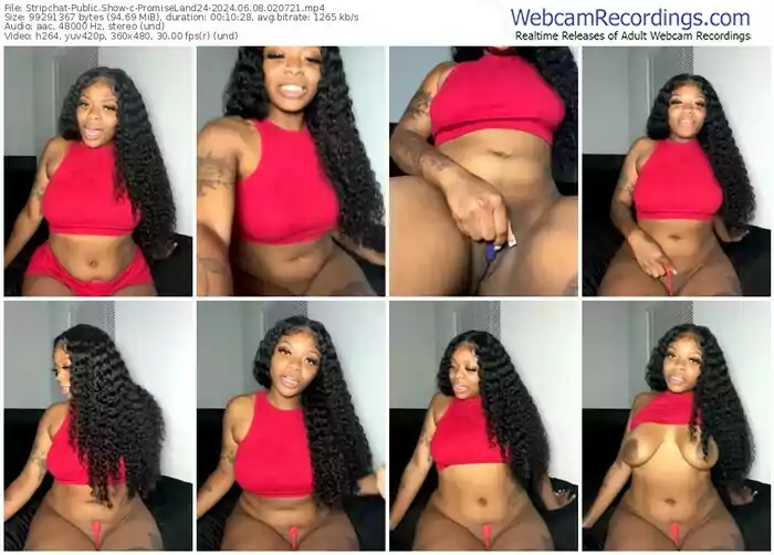 stripchat-promiseland24-06-08-2024-02-07-21