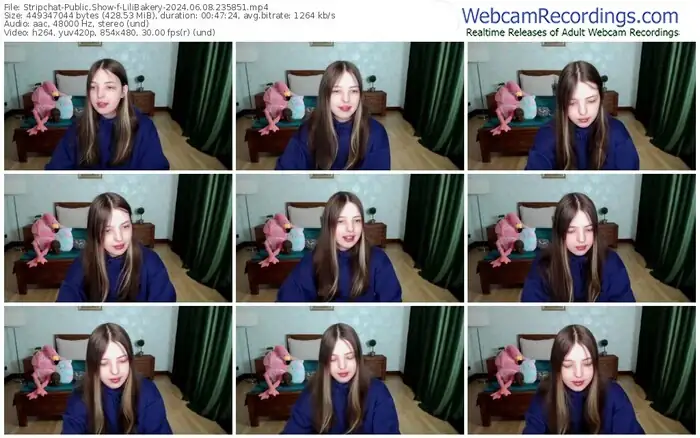 stripchat-lilibakery-06-08-2024-23-58-51