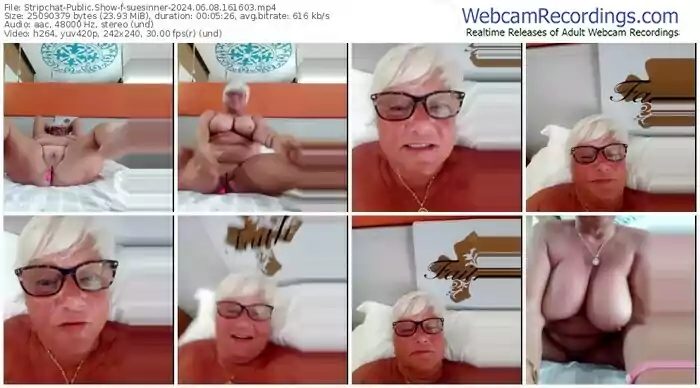 stripchat-suesinner-06-08-2024-16-16-03