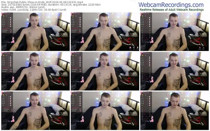 stripchat-endo_wolf-06-08-2024-10-16-31