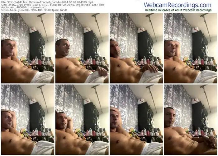 stripchat-pharaoh_cam4u-06-08-2024-02-43-49