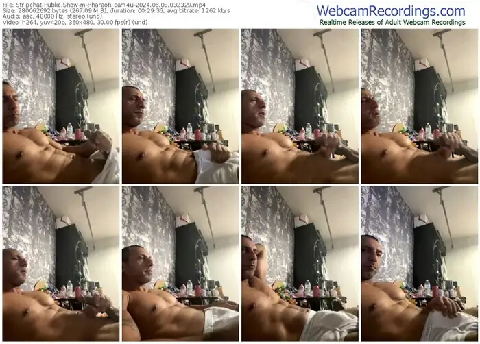 stripchat-pharaoh_cam4u-06-08-2024-03-23-29