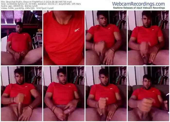 stripchat-themrfox13-06-08-2024-09-57-00