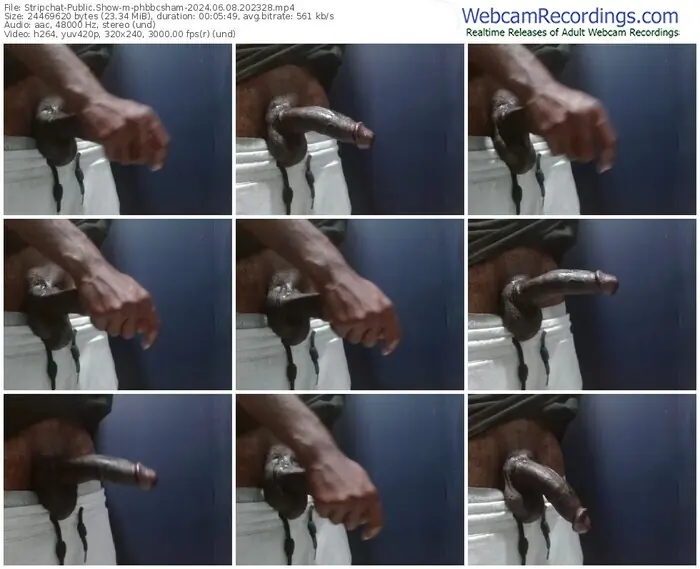 stripchat-phbbcsham-06-08-2024-20-23-28