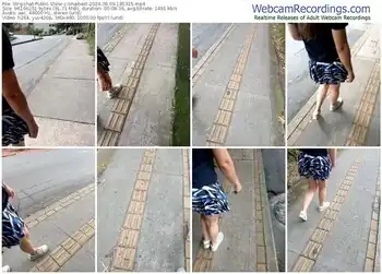 stripchat-snaibest-06-09-2024-18-53-15