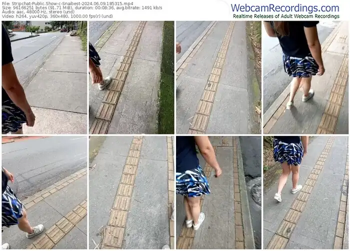 stripchat-snaibest-06-09-2024-18-53-15