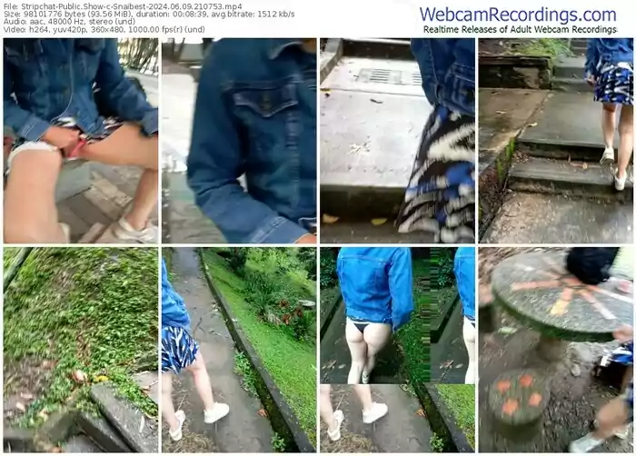 stripchat-snaibest-06-09-2024-21-07-53