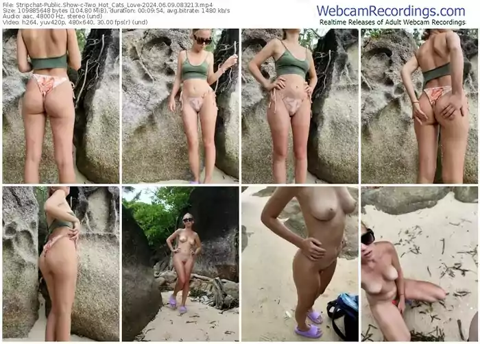 stripchat-two_hot_cats_love-06-09-2024-08-32-13