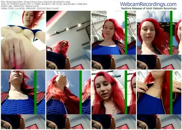 stripchat-frost_foxy-06-09-2024-06-44-15