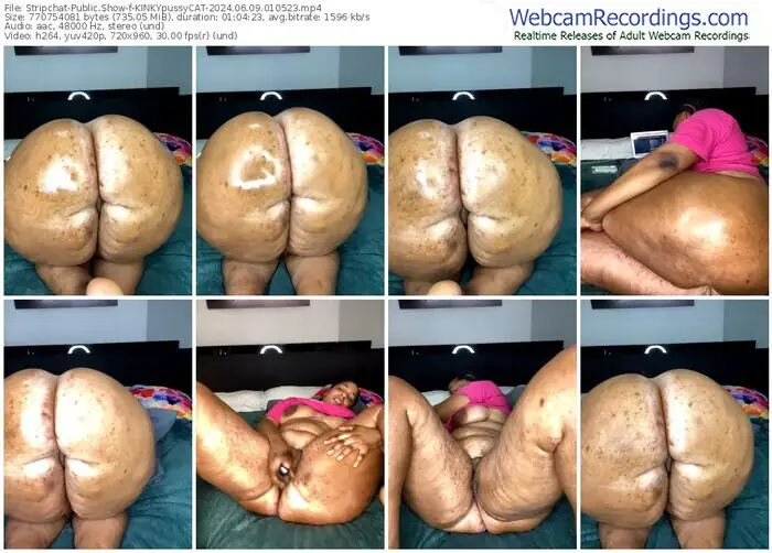 stripchat-kinkypussycat-06-09-2024-01-05-23