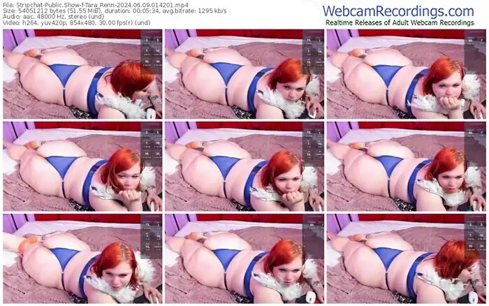 stripchat-tara_renn-06-09-2024-01-42-01