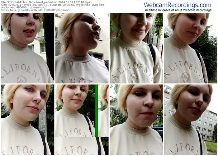 stripchat-real_perfection-06-09-2024-13-25-48