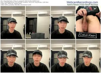 stripchat-1a1a1alll-06-09-2024-16-34-08