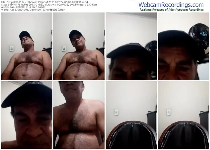 stripchat-peludo173317-06-09-2024-02-34-31