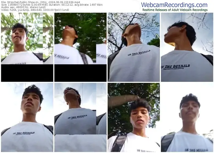 stripchat-_ottis_-06-09-2024-22-19-39