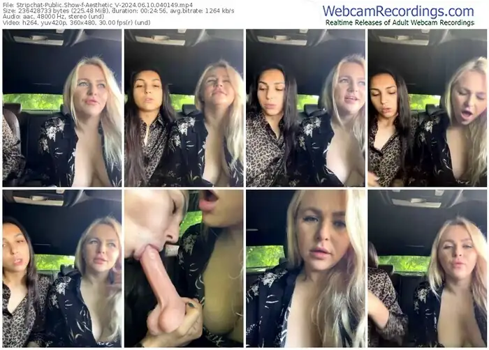 stripchat-aesthetic_v-06-10-2024-04-01-49