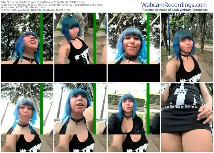 stripchat-gerallfoxxx-06-10-2024-12-44-06