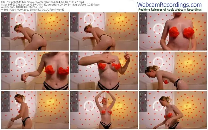 stripchat-noreenhatter-06-10-2024-01-11-47