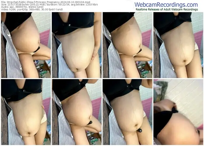 stripchat-princess_pregnancy-06-10-2024-09-01-04