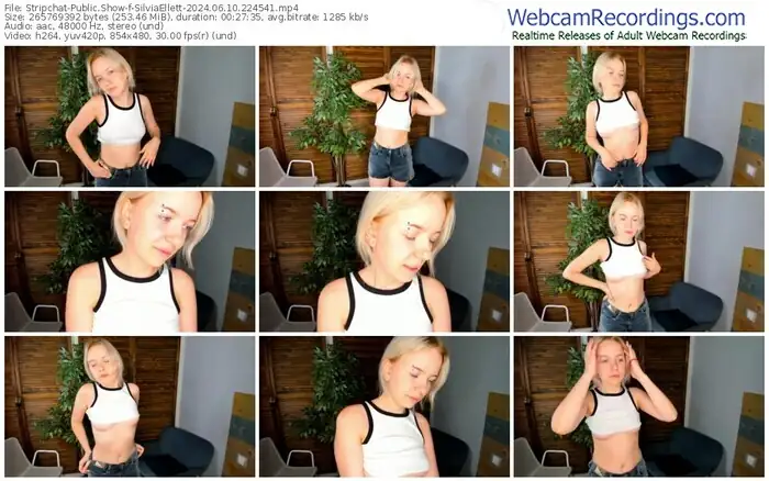 stripchat-silviaellett-06-10-2024-22-45-41