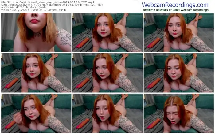 stripchat-_violet_evergarden-06-10-2024-01-26-51