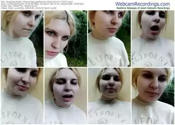 stripchat-real_perfection-06-10-2024-17-32-07