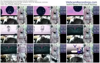 stripchat-z23002-06-10-2024-08-50-01