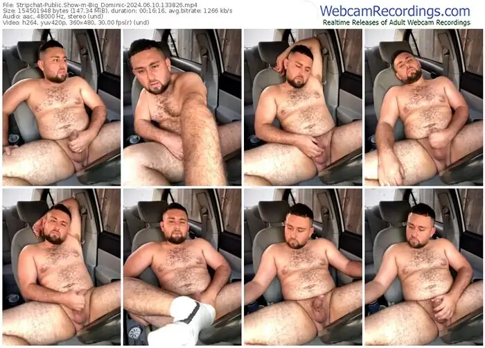 stripchat-big_dominic-06-10-2024-13-38-26