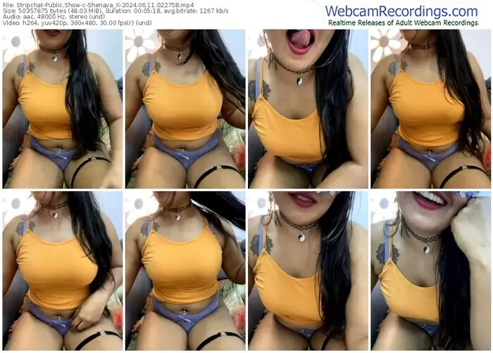 stripchat-shenaya_x-06-11-2024-02-27-58