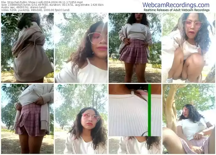 stripchat-sofy2004-06-11-2024-17-18-53