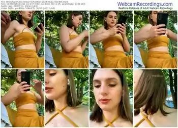 stripchat-artistann-06-11-2024-05-04-06