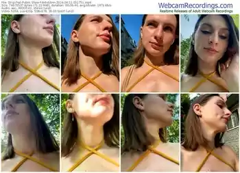 stripchat-artistann-06-11-2024-05-17-51