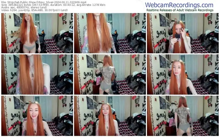 stripchat-roxy_silver-06-11-2024-02-29-09