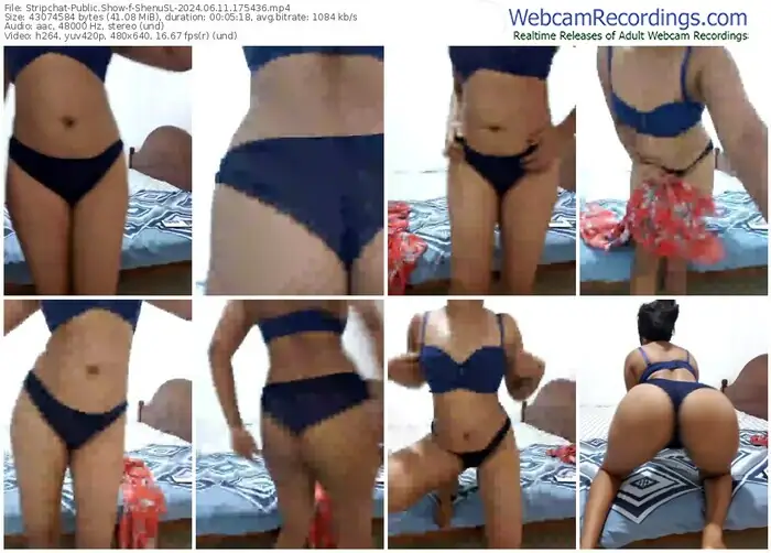 stripchat-shenusl-06-11-2024-17-54-36