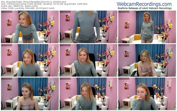 stripchat-tweet88-06-11-2024-15-06-33