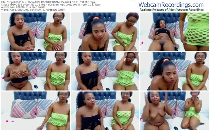 stripchat-wildseductionxx25-06-11-2024-03-13-16