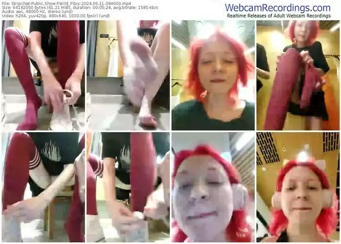 stripchat-wild_f0xy-06-11-2024-08-46-03